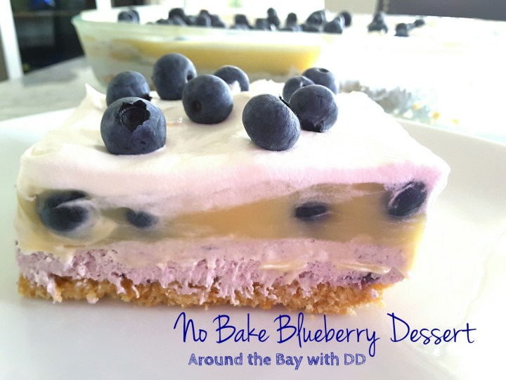 No Bake Blueberry&nbsp;Dessert