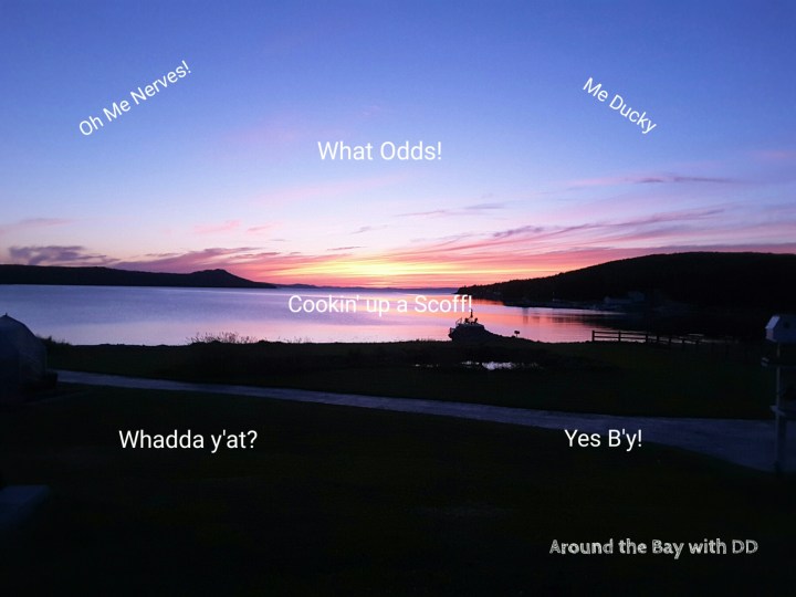 Only in Newfoundland….