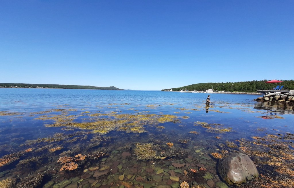 This image has an empty alt attribute; its file name is 20190825_111627-1.jpg